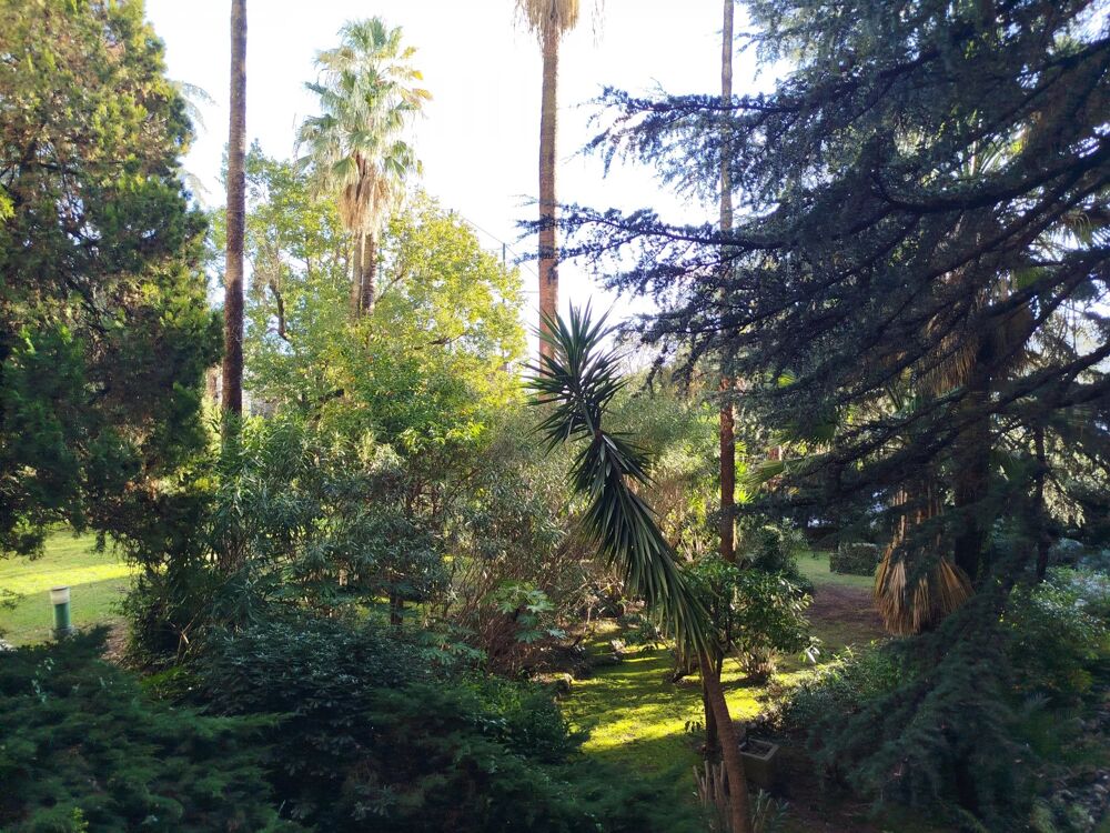 Vente Appartement CANNES - 2/3 Pièces Cannes