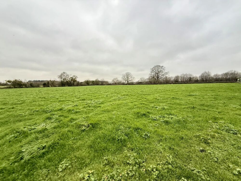 Vente Terrain ideal promoteur ou investisseur !!! Gournay-en-bray