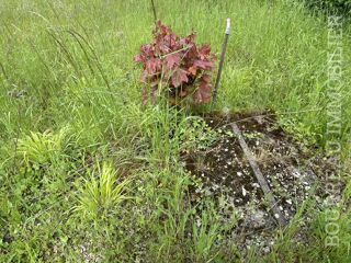  Terrain � vendre 735 m�