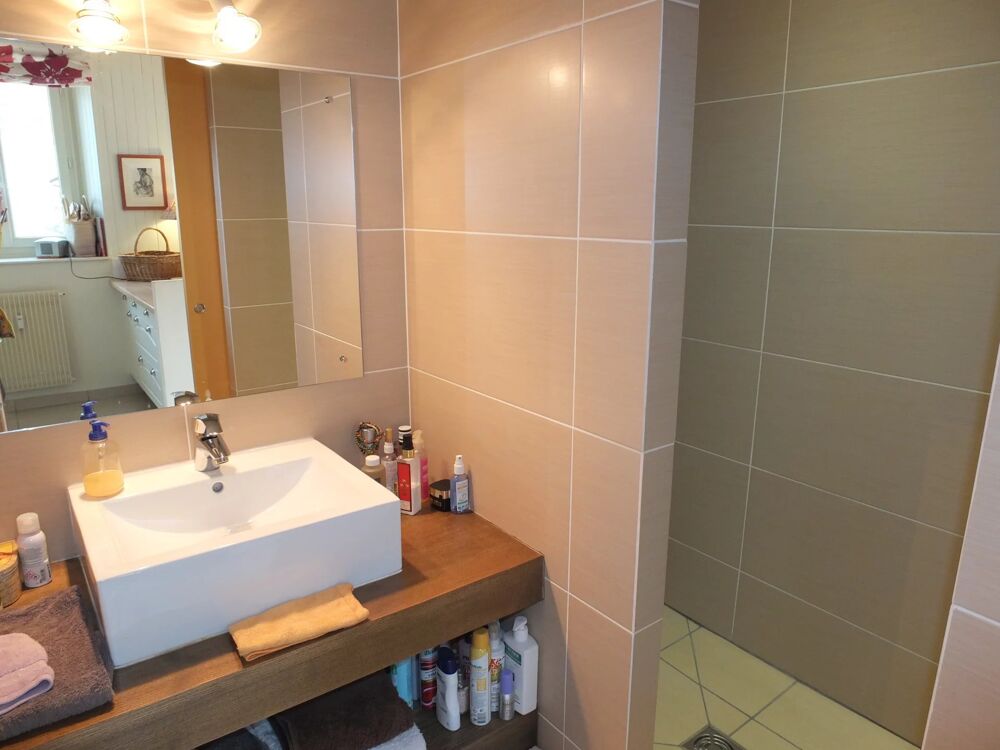 Vente Appartement MIJOUX : T2 rénové,  balcon sud ouest Mijoux