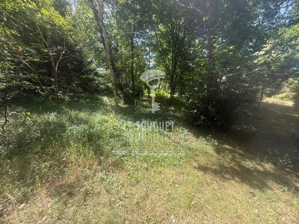 Stella-Merlimont  Terrain à bâtir  Emplacement dexception
