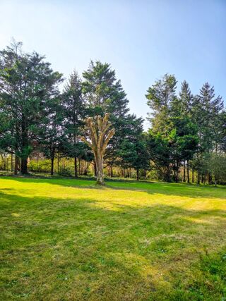  Terrain à vendre 1 pièce 2650 m²