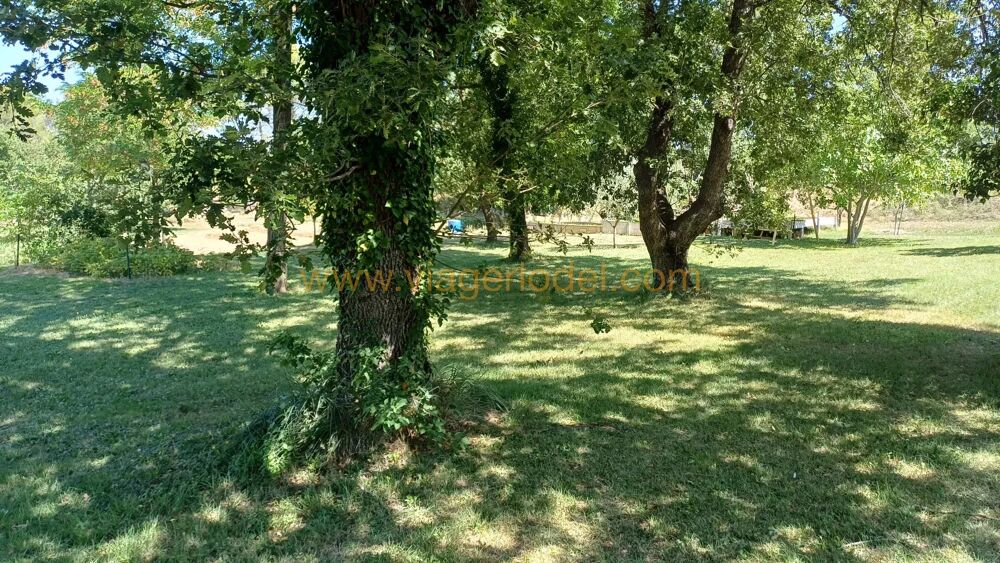 Réf. 9857 - VIAGER OCCUPE - PERNES-LES-FONTAINES (84)
