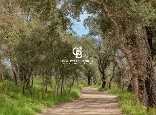  Maison � vendre 10 pi�ces 280 m�