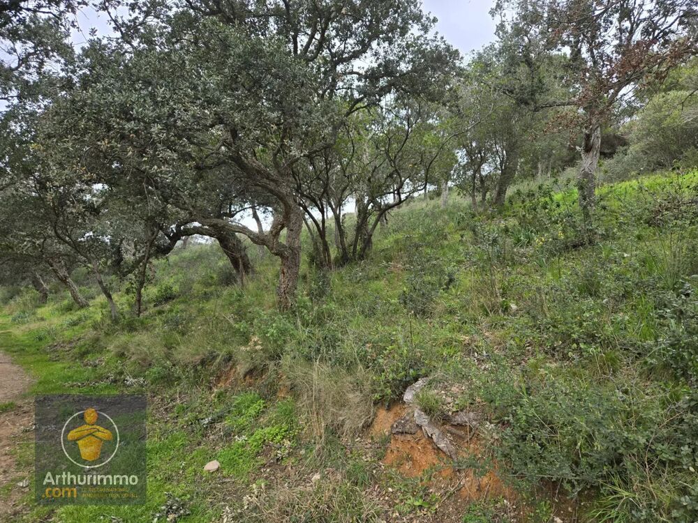 Vente Terrain Terrain Non Constructible à Bormes-les-Mimosas, 2.74 Ha Bormes-les-mimosas