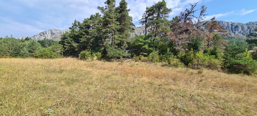 Vente Terrain Terrain constructible de 1 990 m² – Un cadre naturel privilégié Andon