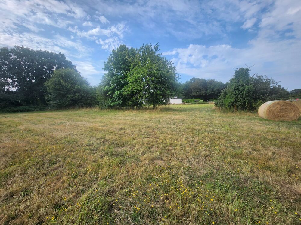 Vente Terrain Magnifique terrain constructible Carhaix-plouguer