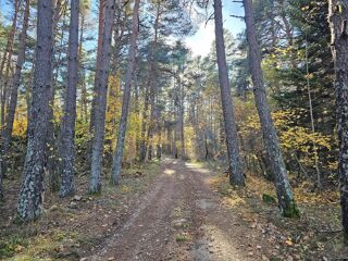  Terrain � vendre 50060 m�