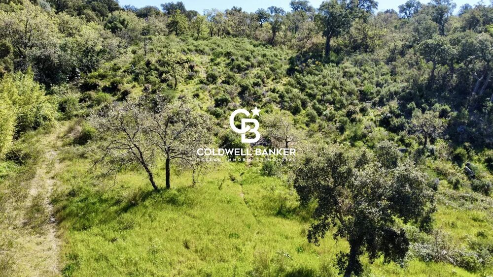 Vente Terrain Superbe terrain viabilisé avec permis de construire purgé, Empla Grimaud