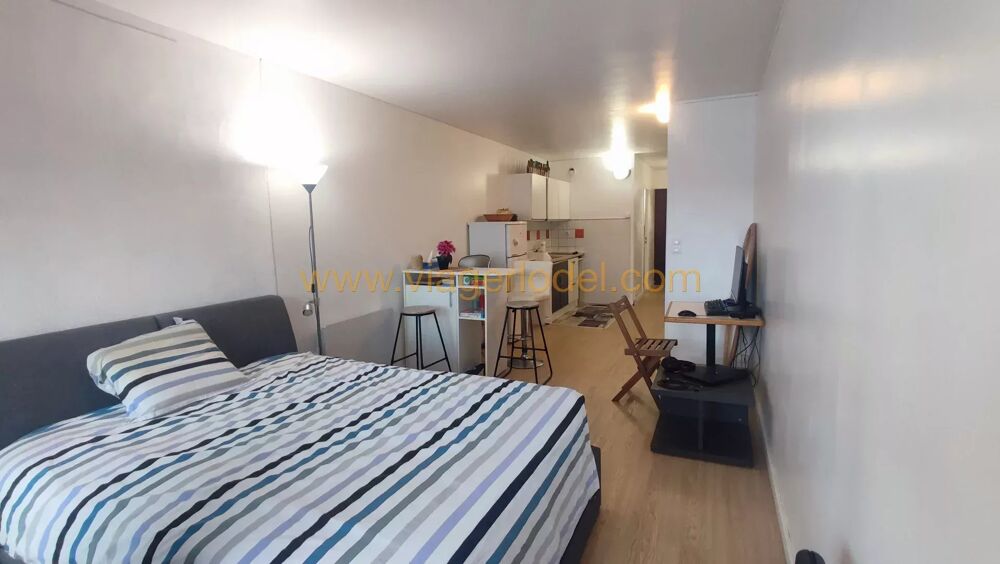 Vente Appartement SOUS OFFRE - Réf. annonce : 10 175 - VIAGER LIBRE - MARSEILLE (1 Marseille 8