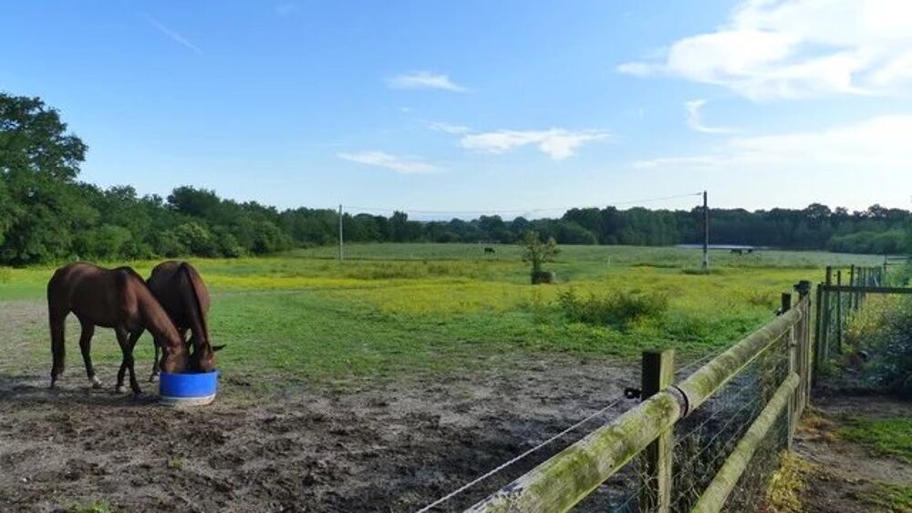  vendre  Maison Villemurlin (45600)