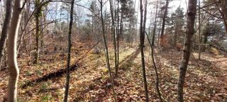  Terrain à vendre 1370 m²