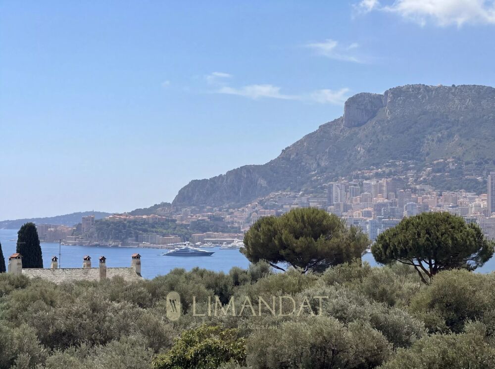 Vente Appartement Roquebrune Cap Martin - dernier étage - 5 pièces 177,41 m2  terr Roquebrune-cap-martin