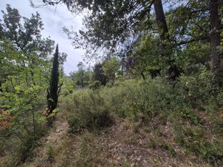  Terrain à vendre 1229 m²