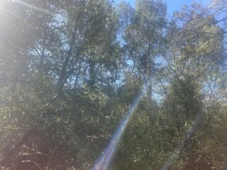  Terrain � vendre 3270 m�