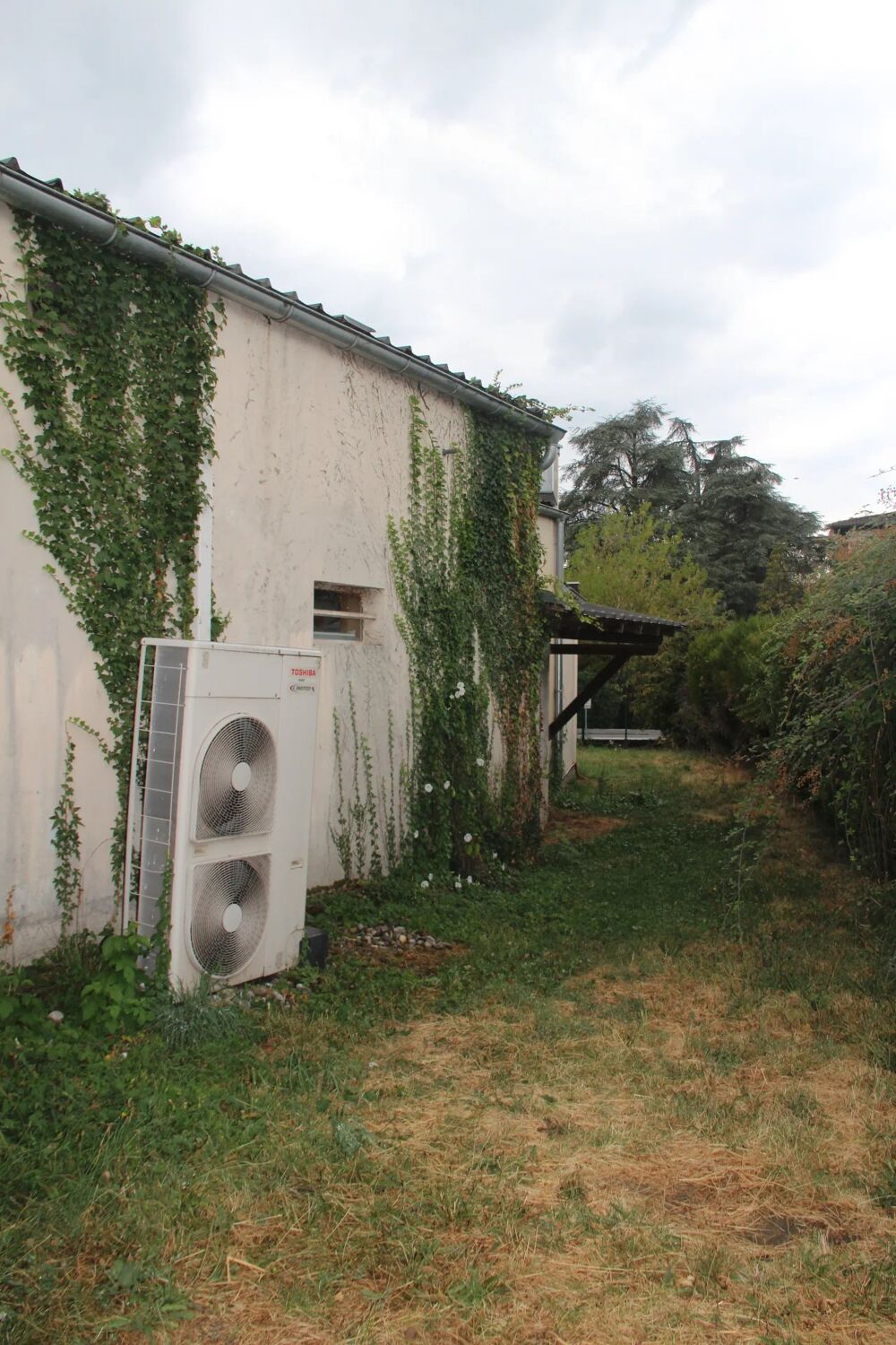   Local commercial Alimentation Thonon-les-bains