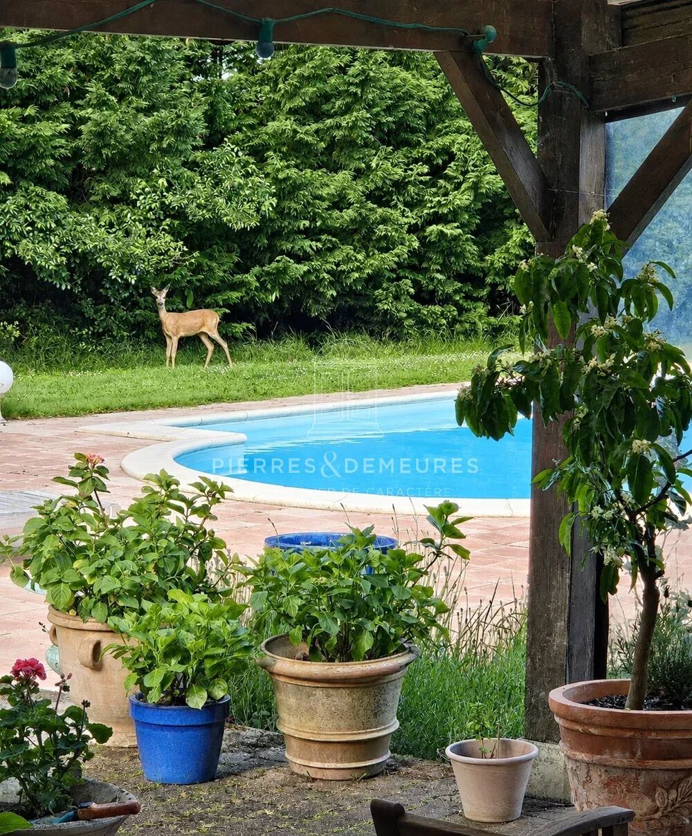 à vendre  Propriété/château Neuvy-Pailloux (36100)