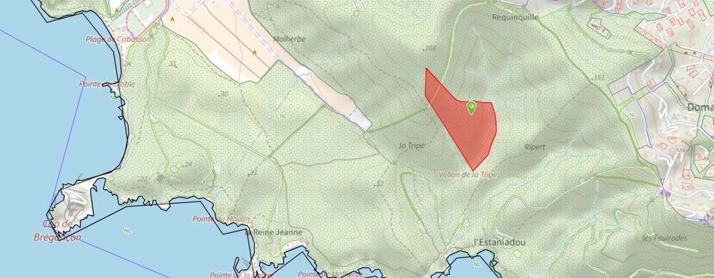 Vente Terrain Terrain de 6,728 ha à Bormes-les-Mimosas, Nature Authentique Bormes-les-mimosas