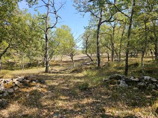  Terrain à vendre 10850 m²