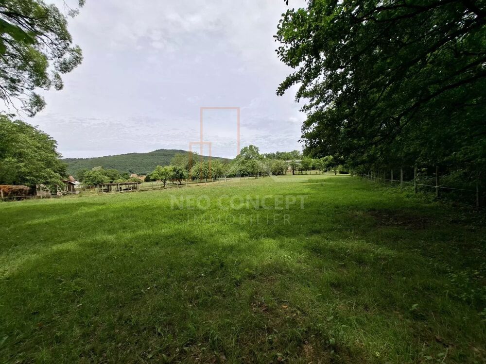 Vente Terrain OBERBRONN SUD - Terrain de 87 ares dont 50 ares constructibles, Oberbronn