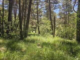 Vente Terrain 1545 m², Caille