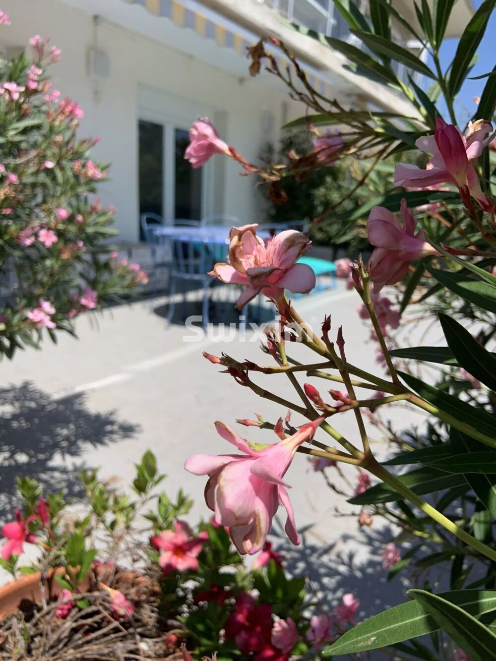 Vente Appartement Cavalaire-sur-Mer (83240) - T3 lumineux en rez-de-jardin avec te Cavalaire-sur-mer