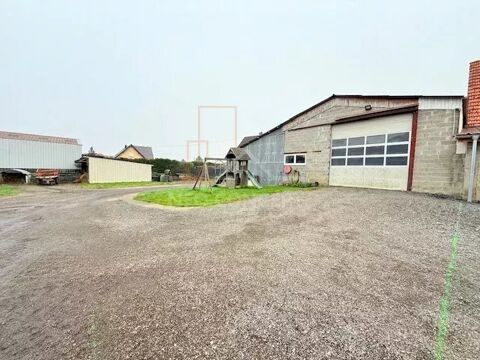 Atelier / Entrep&ocirc;t d'environ 237 m&sup2; sur une parcelle de 13 ares 190000 67470 Trimbach