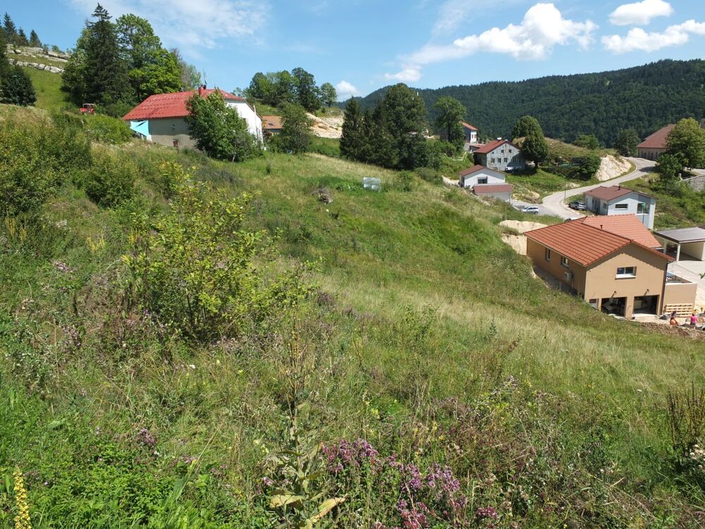 Vente Terrain SEPTMONCEL : Terrain constructible - Lot 5 Septmoncel