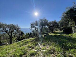 Vente Terrain 1950 m², Châteauneuf-Villevieille