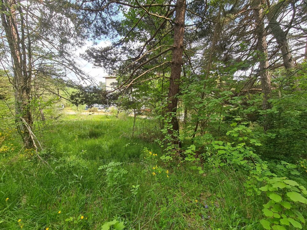 Vente Terrain THORENC : Terrain à vendre  1 896 m² de nature Andon