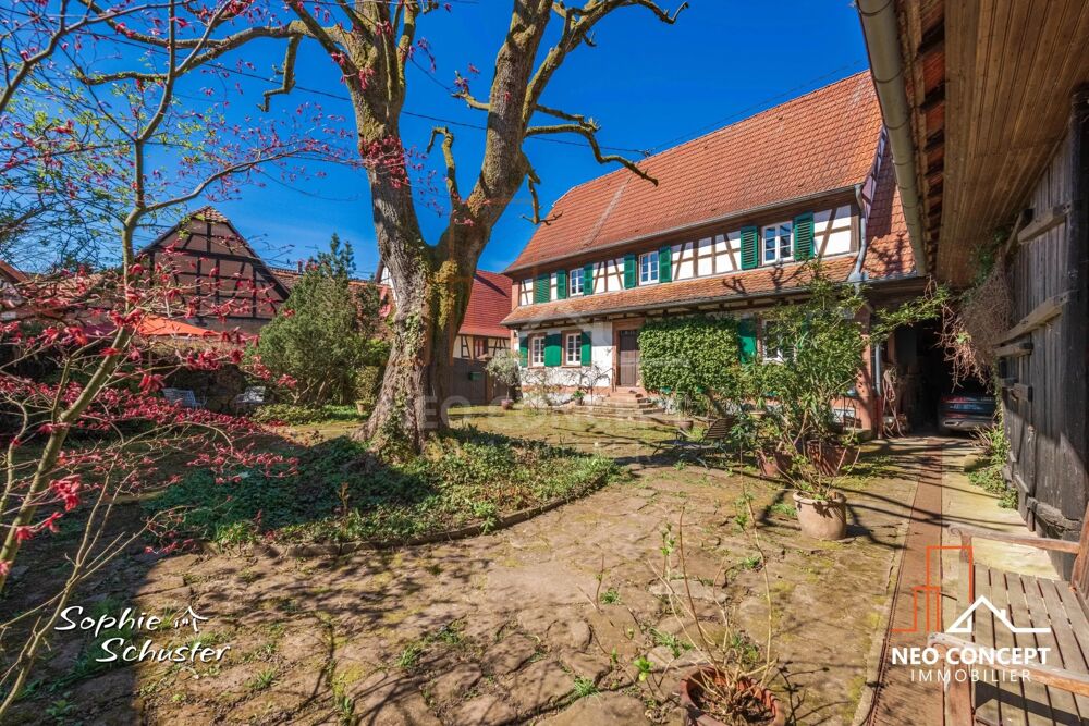 Vente Villa MULHAUSEN Authentique maison alsacienne de 1836 dans un écrin de Mulhausen