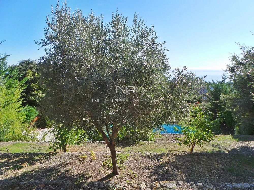à vendre  Maison Vallauris (06220)