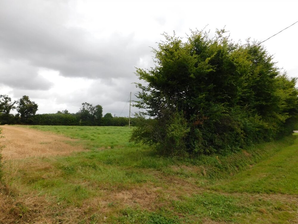 Vente Terrain TERRAIN CONSTRUCTIBLE Trébrivan