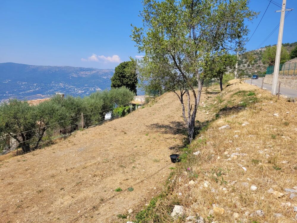 Vente Terrain Aspremont Terrain agricole Aspremont