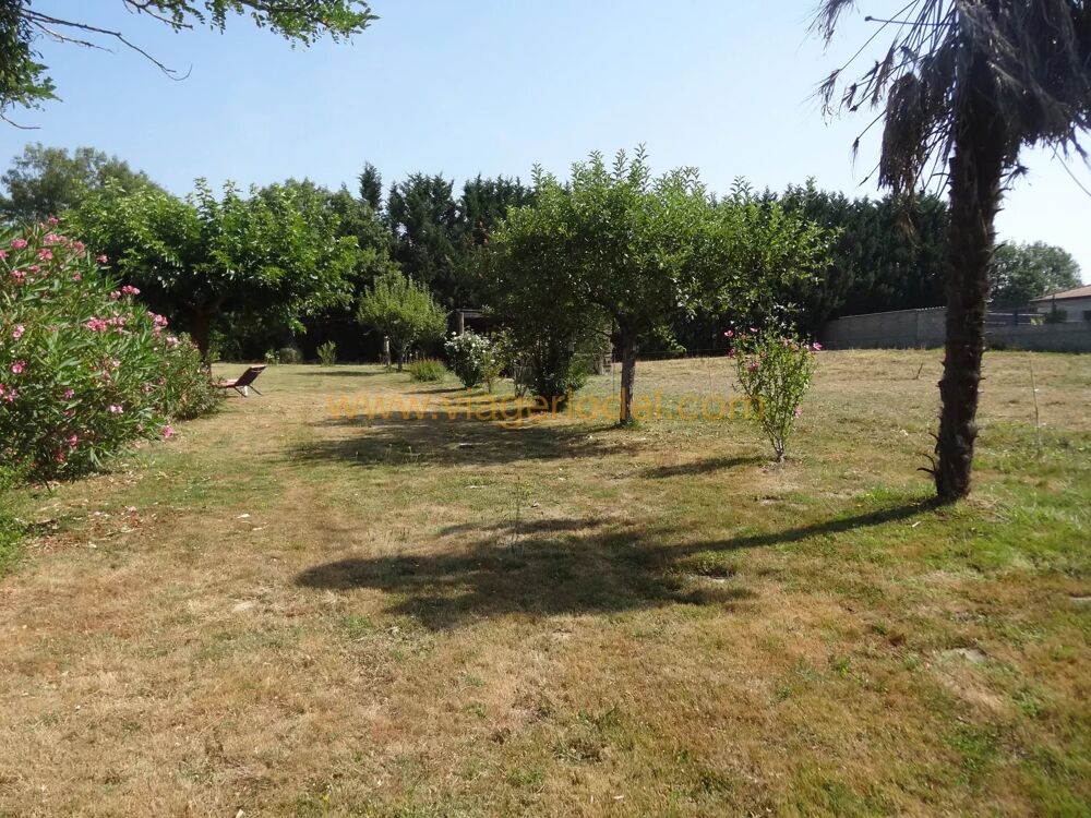 Vente Maison Réf. annonce : 9885 - VIAGER OCCUPE - CASTELNAU PICAMPEAU (31) Castelnau-picampeau