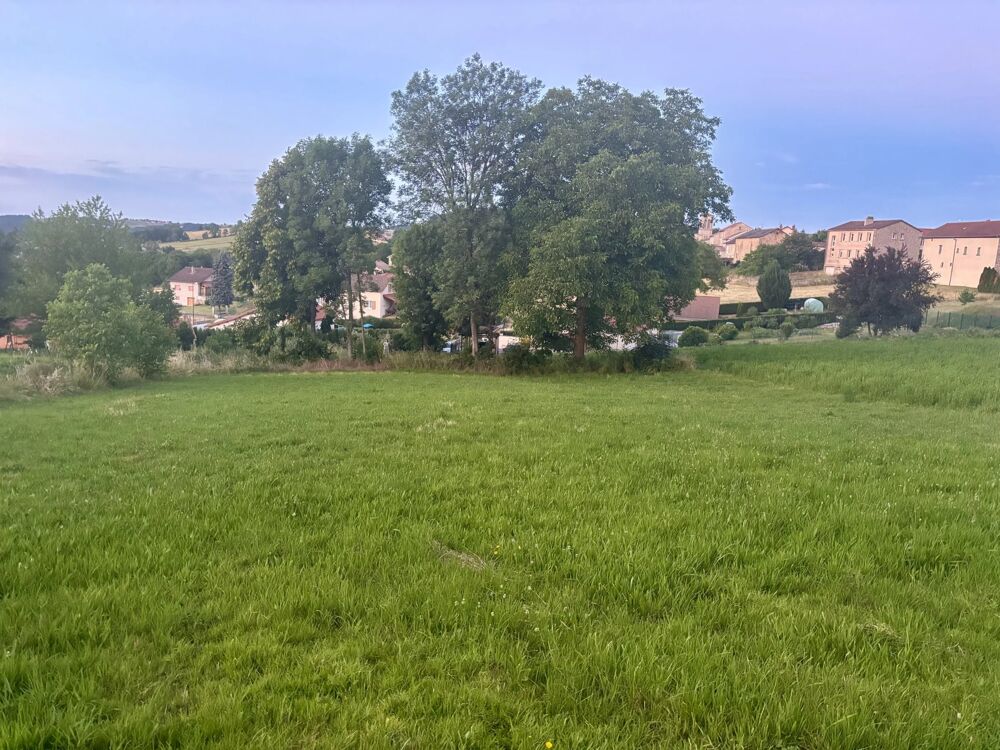 Vente Terrain TERRAIN CONSTRUCTIBLE AU CŒUR DU VILLAGE Beaux