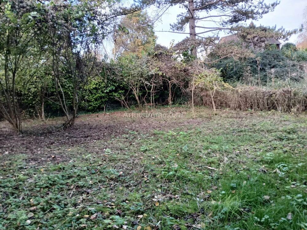 Vente Terrain À 3 minutes de Gisors – Terrain à bâtir dans environnement reche Gisors