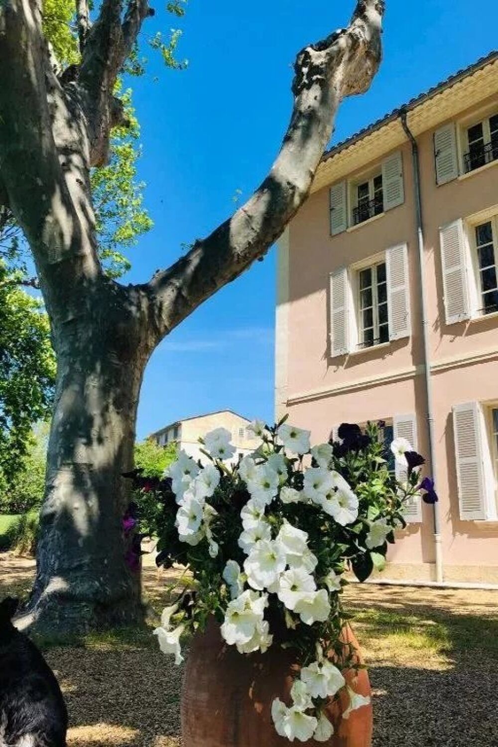 AUPS: ELEGANTE MAISON BOURGEOISE AVEC PISCINE