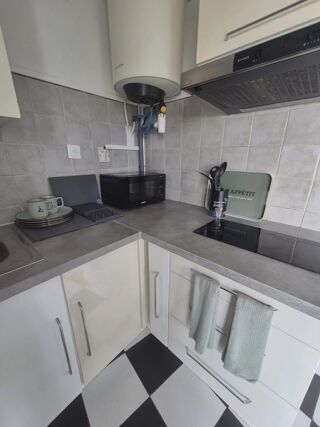  Appartement � louer 1 pi�ce 33 m�