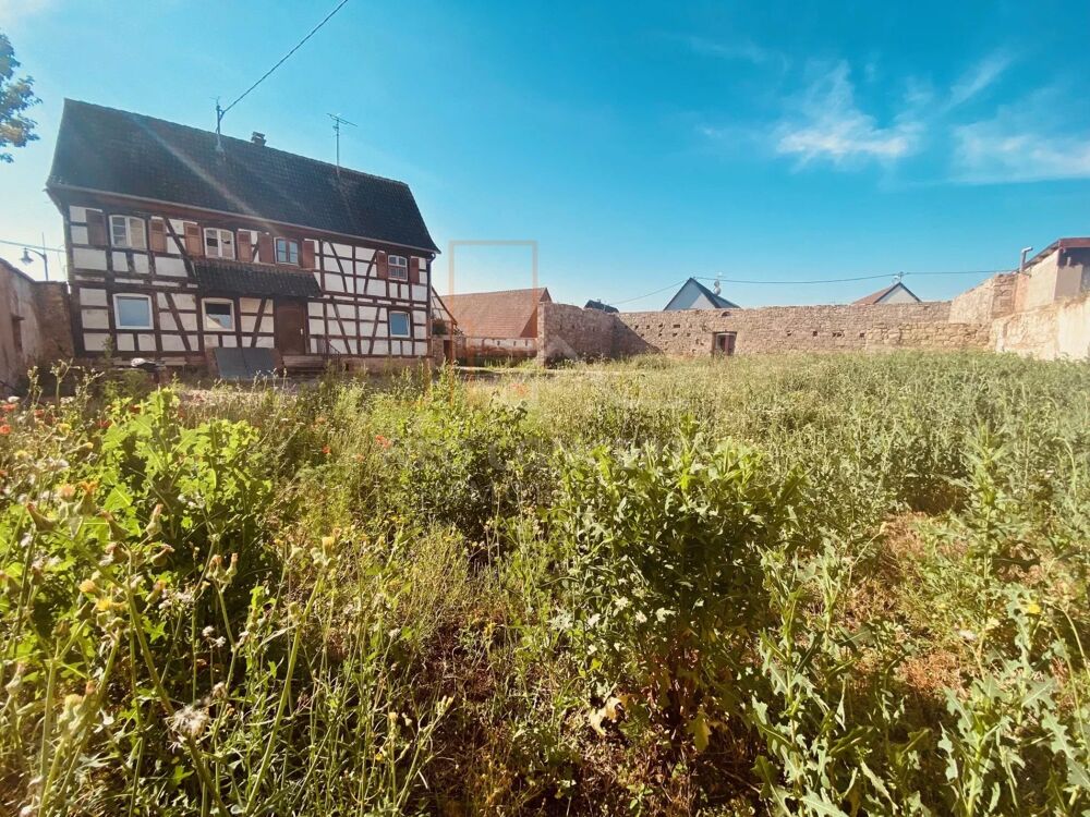 Vente Immeuble Ensemble ancien corps de ferme avec maison alsacienne Mommenheim