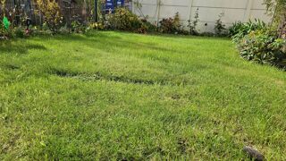  Maison � vendre 4 pi�ces 68 m�