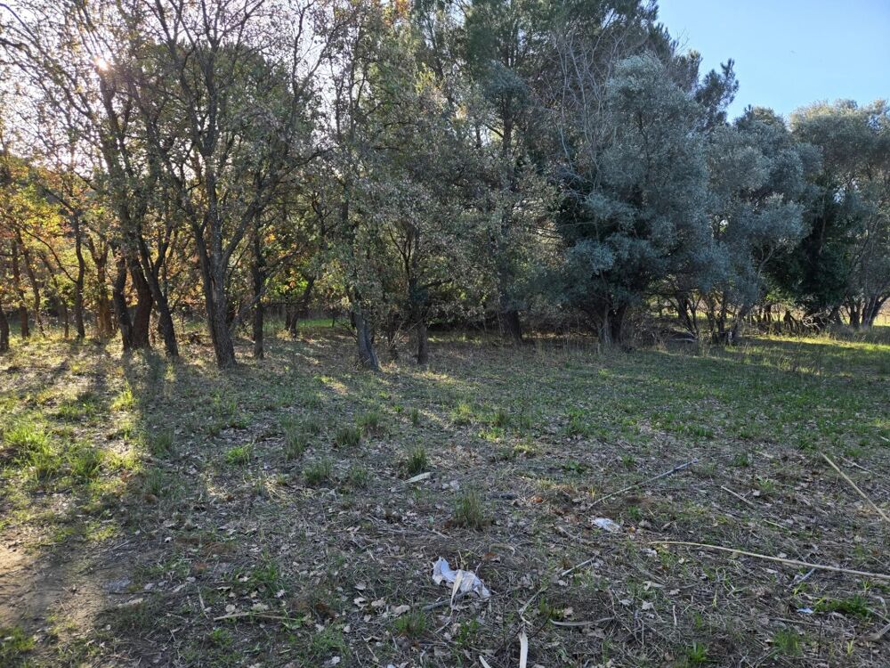 Vente Terrain Terrain Agricole à Bormes-les-Mimosas, 1056 m² Dispo Bormes-les-mimosas