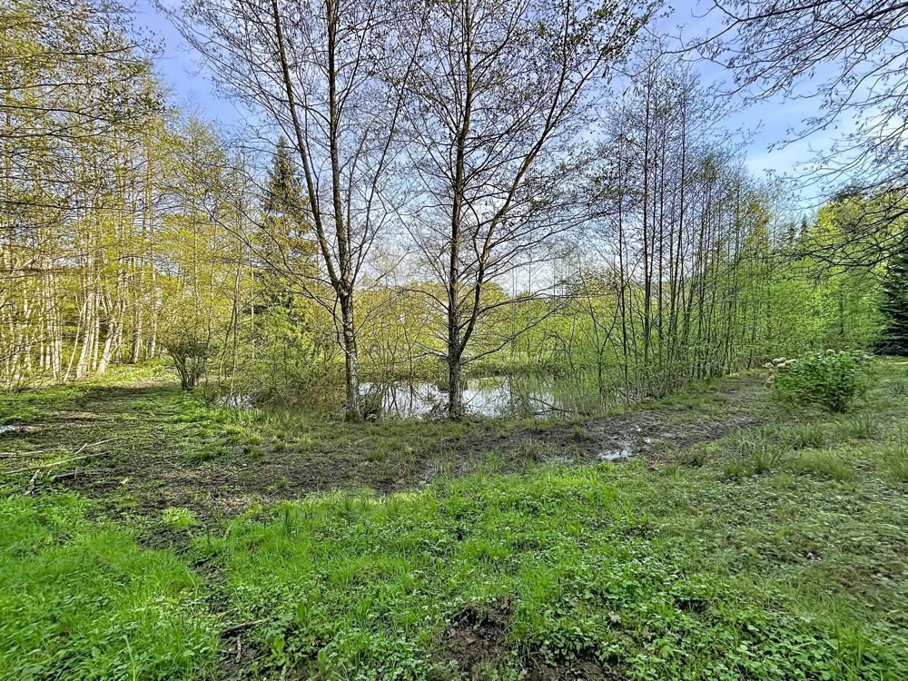 Vente Terrain Terrain de loisir 1 hectare avec 2 étangs Bourguignon-sous-montbavin