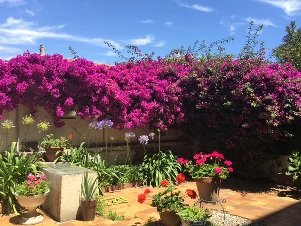 Vente Appartement Cannes pointe Croisette,  duplex en rdj avec grande terrasse Cannes