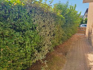  Appartement  vendre 1 pice 29 m