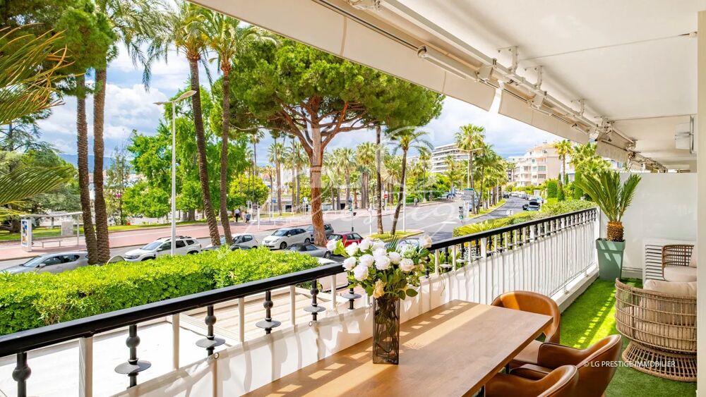 CANNES PORT CANTO