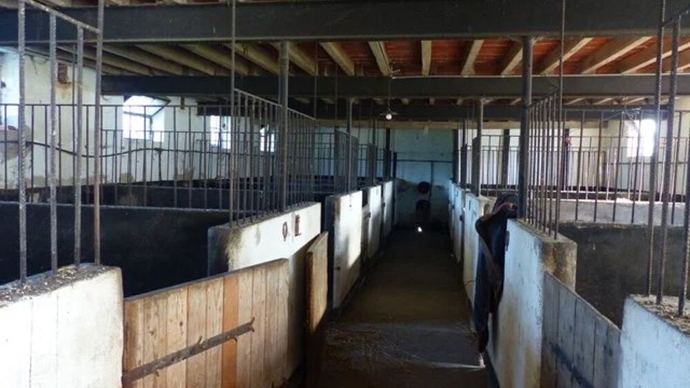  vendre  Maison Villemurlin (45600)