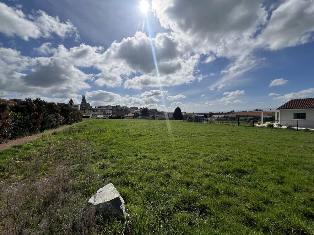 Vente Terrain Terrain Rozier-en-donzy