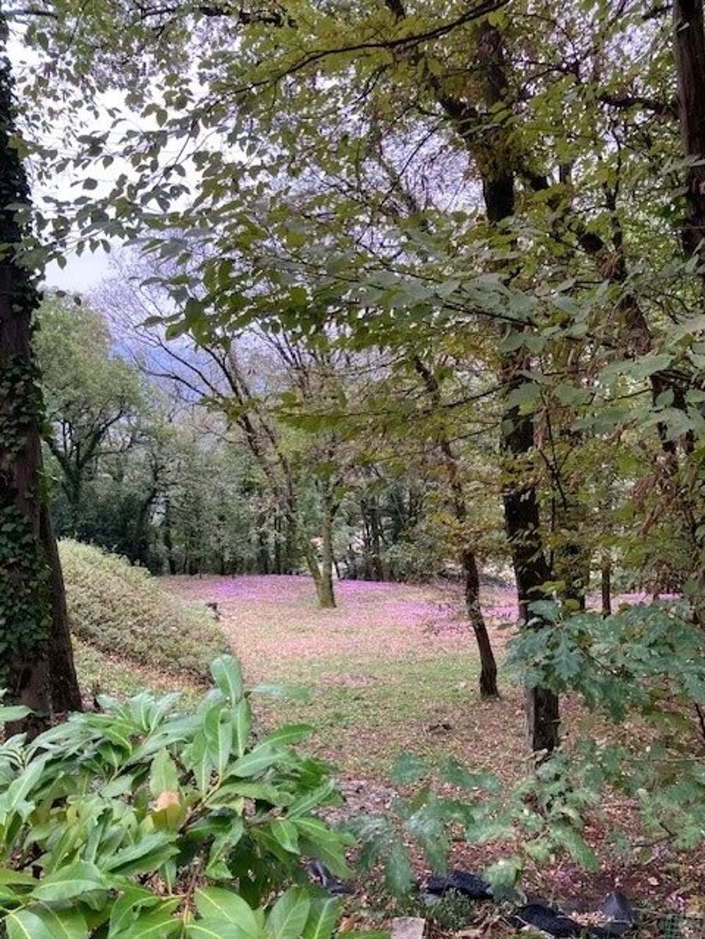 Vente Terrain VEUREY VOROIZE EXCLUSIVITE TERRAIN CONSTRUCTIBLE DE 2094M² Veurey-voroize