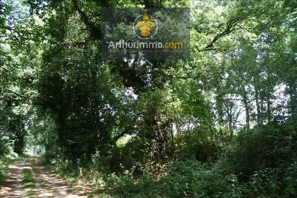 Vente Terrain GUILLAC TERRAIN BOISE 4 000 M² Guillac